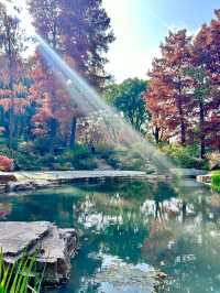 魔都小眾治癒地輔德里公園|市中心藏的森林綠洲