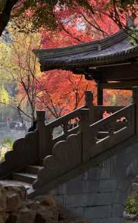 在義烏的浪漫一日從詩意公園到天上宮闕的穿越之旅在義烏發現