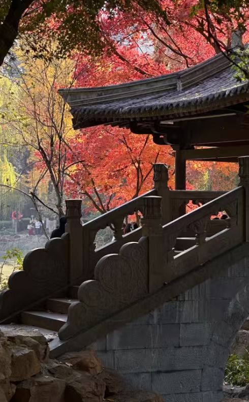 在義烏的浪漫一日從詩意公園到天上宮闕的穿越之旅在義烏發現 在義烏的浪漫一日從詩意公園到天上宮闕的穿越之旅在義烏發現