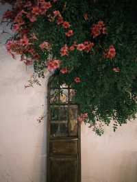 烏鎮西柵景區旁的民宿 自帶度假感 太美啦