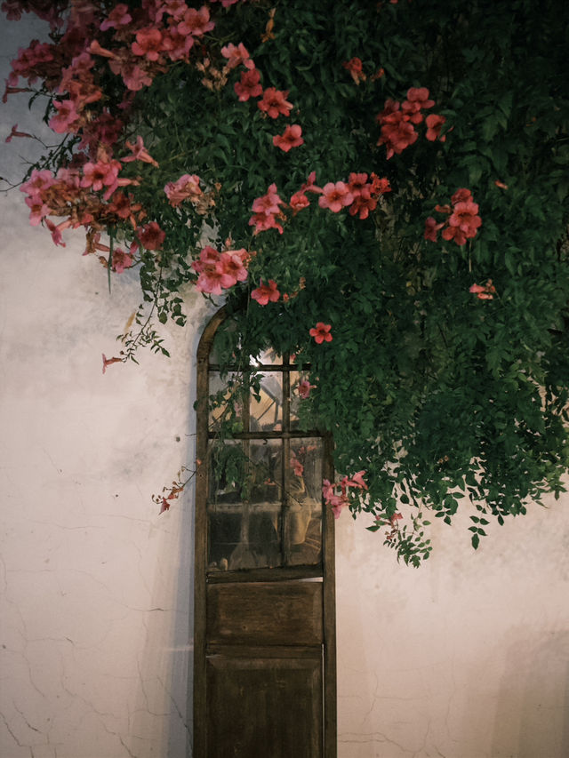 烏鎮西柵景區旁的民宿 自帶度假感 太美啦 烏鎮西柵景區旁的民宿 自帶度假感 太美啦