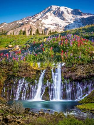 冬限定8日間で巡るアメリカ完全攻略