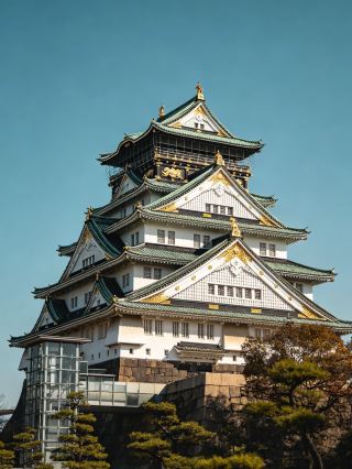 Nagoya Castle | Golden Shachihoko Shining, Traveling Through Four Hundred Years of the Sengoku Period