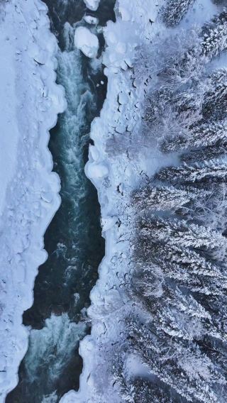 天山山脈の壮大な景観：ナラト国立森林公園に足を踏み入れると、周囲に連なる雪を冠した峰々の雄大な景色に圧倒される。ここはまさに野生動物の楽園だ。
