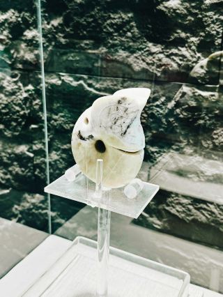 遼西文化深度探秘