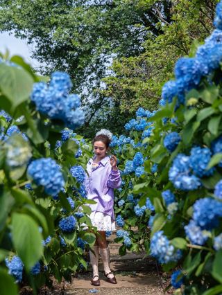 Super cool around Chengdu! Watch the sea of clouds, admire hydrangeas, observe fireflies at night...