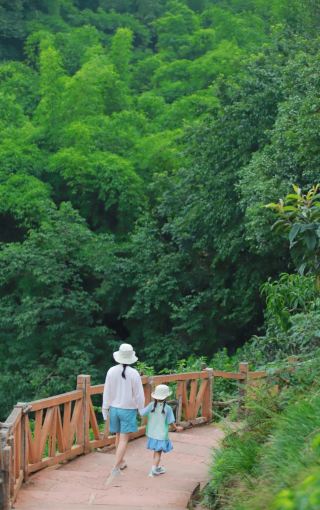 Just 0.5h from Chengdu! A severely underestimated shaded forest hiking trail