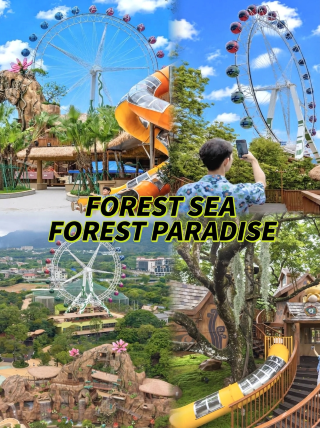 Hidden fairytale forest park near Guangzhou
