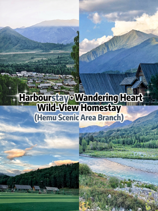 Hemu family travel stay | live in a terrace retreat among the birch forest