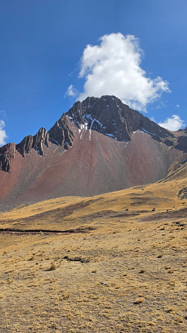 Breathtaking Pallay Puncho Tour in Peru