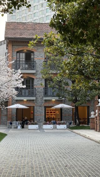 The only one in downtown Shanghai! A cherry blossom tree tucked away in a Western-style house🌸