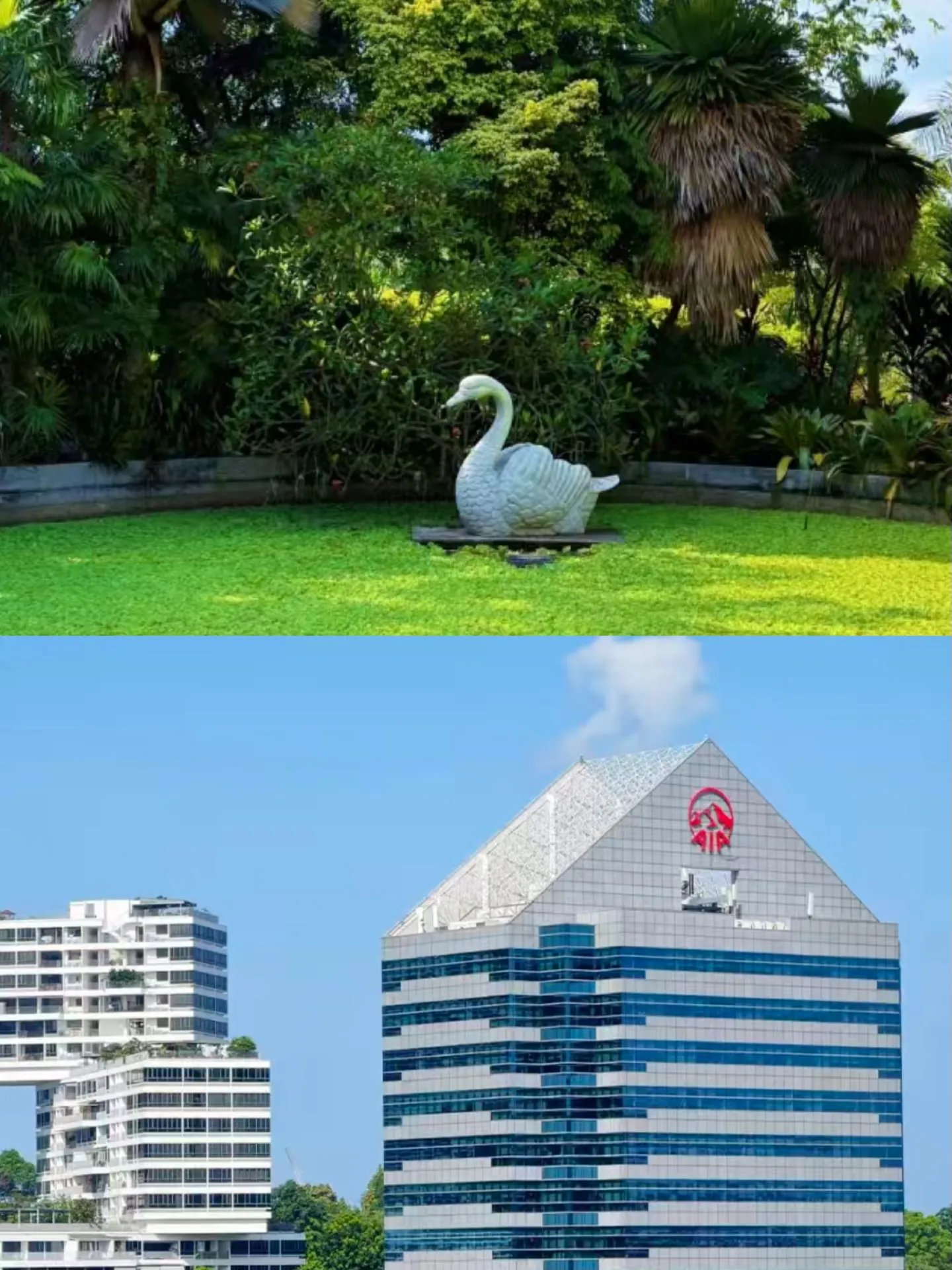 Singapore rất đẹp, nhưng tôi sẽ không bao giờ quay lại đó nữa.