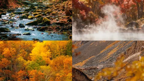 Changbai Mountain North Slope Autumn Trip | Found a hidden gem of a homestay, the trip comfort level is 10/10! — traveler post in Yanbian