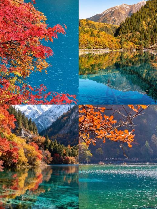 これさえあれば、九寨溝の秋限定、最高の旅を叶える | Trip.com 九寨溝