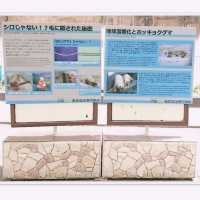 わかりやすい！大阪eco動物海洋専門学校　天王寺動物園