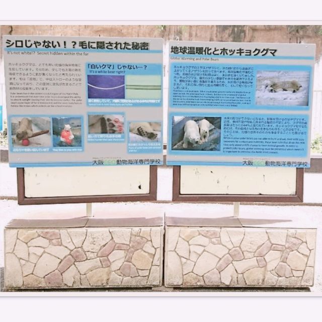 わかりやすい！大阪eco動物海洋専門学校　天王寺動物園