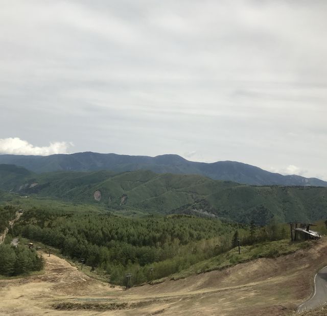 潔白的雪走廊 — 乘鞍高原