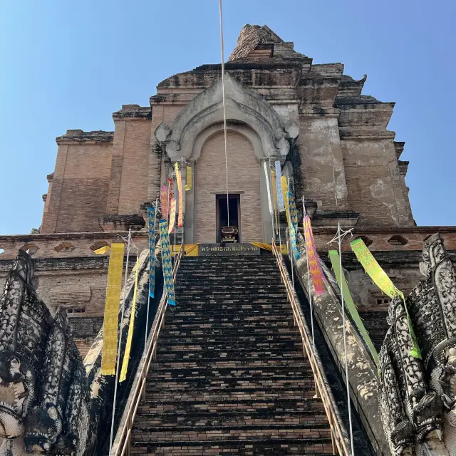 清邁古城- 柴迪隆寺