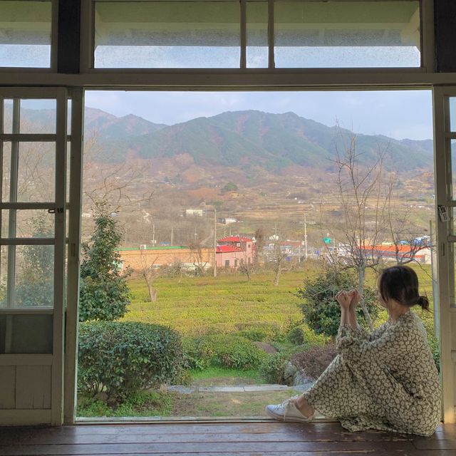 푸릇푸릇한 녹차밭 뷰를 볼 수 있는  하동매암제다원🍃🍵 