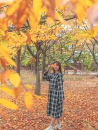 흐려도 아름다운 가을경주 황룡원🍁