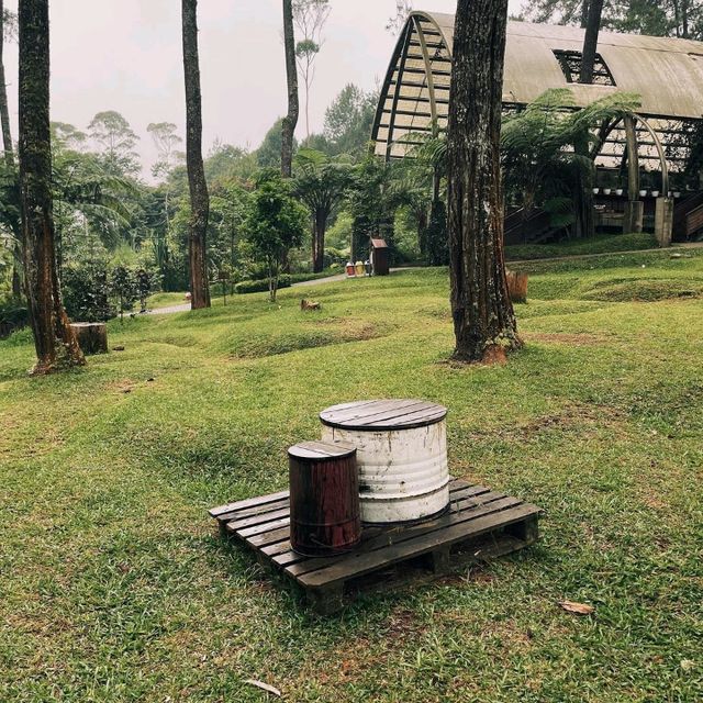 Orchid forest Cikole 