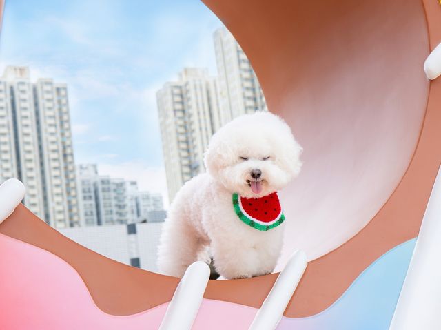 大埔全新打卡地標