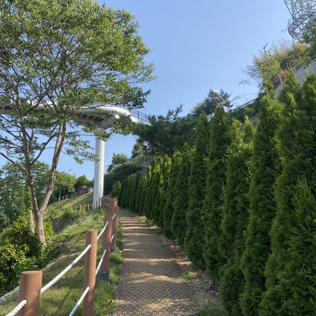 강원도 가볼만한곳 도째비골 스카이밸리