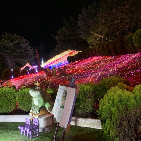 LED 조명 아래 빛나는 불빛들로 가득한, 청도 프로방스 빛 축제