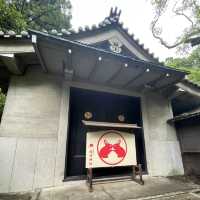 【超多可愛兔兔】京都東天王岡崎神社