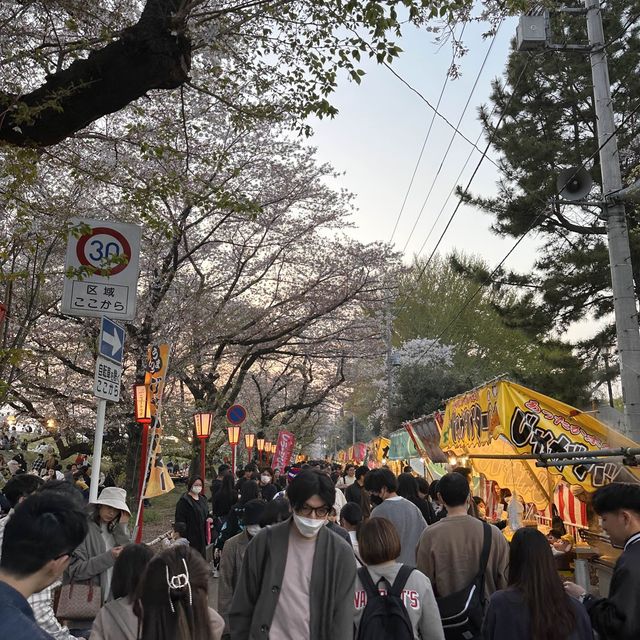 東京近郊賞櫻🌸推介 – 熊谷櫻堤