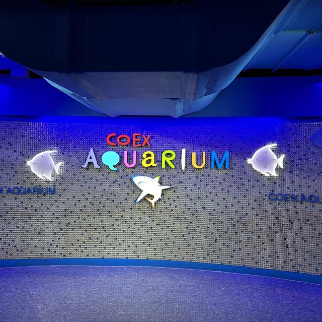 帶小朋友一起探索大海的奧秘 🐠🦑🌊