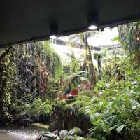 【シンガポール】近未来植物園ガーデンバイザベイ