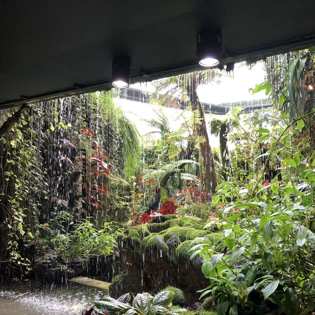 【シンガポール】近未来植物園ガーデンバイザベイ