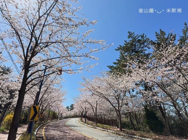 🇰🇷韓國｜釜山➰天然唯一海岸邊《海東龍宮寺》寧靜的心靈之旅