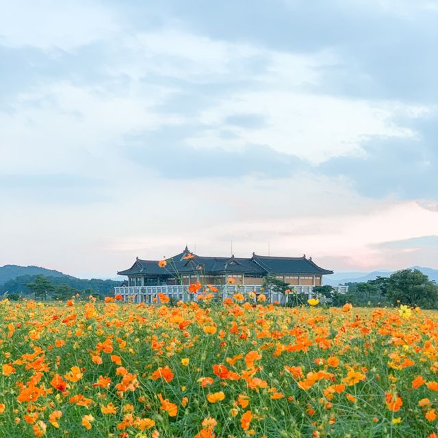경주 인생샷📸 남기기 좋은곳 추천✨