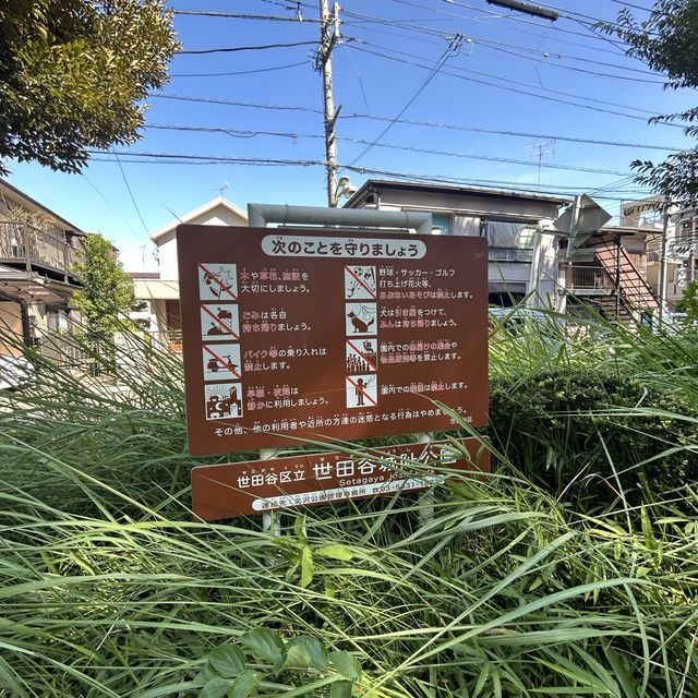 世田谷城址公園 世田谷城址公園