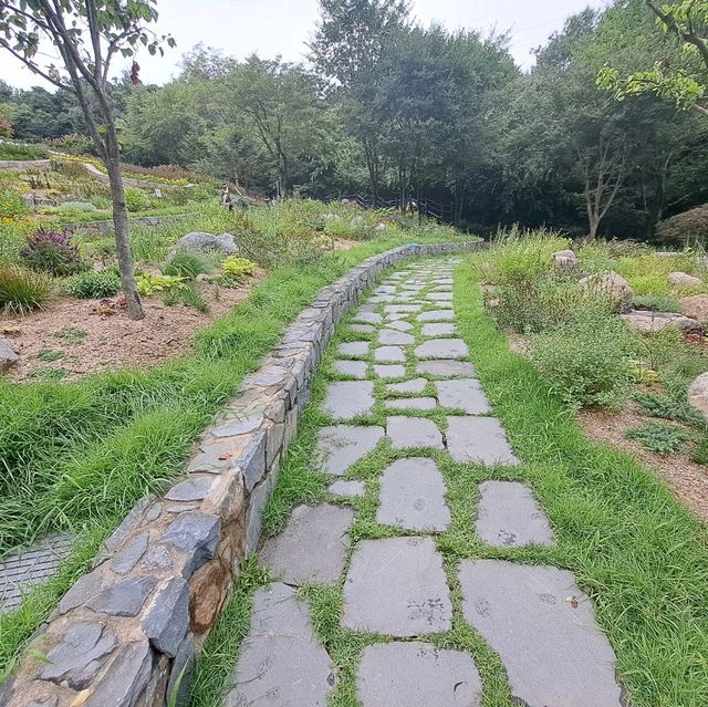 韓國景點📸峨嵯山生態公園😊親親大自然體驗日🌤