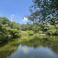 東莞🌿榴花公園🌳（榴花塔🏯）一日遊🧳