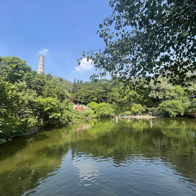 東莞🌿榴花公園🌳（榴花塔🏯）一日遊🧳