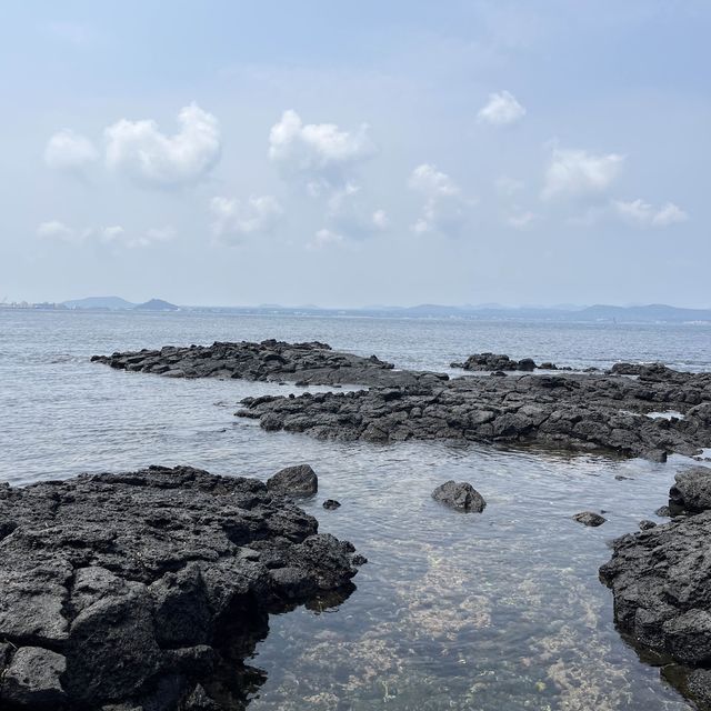 제주도 우도 배타고 차타고 들어가기 🚢