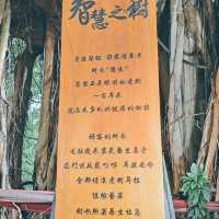 台北 | 熱鬧城市中的日式老宅「靜心苑」，寧靜的氛圍感使人心靈平和