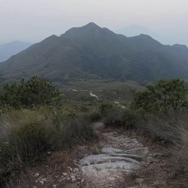香港🇭🇰｜ 南山登大東山爛頭營 🏕️🌾 - 鳳凰徑2段 🌟