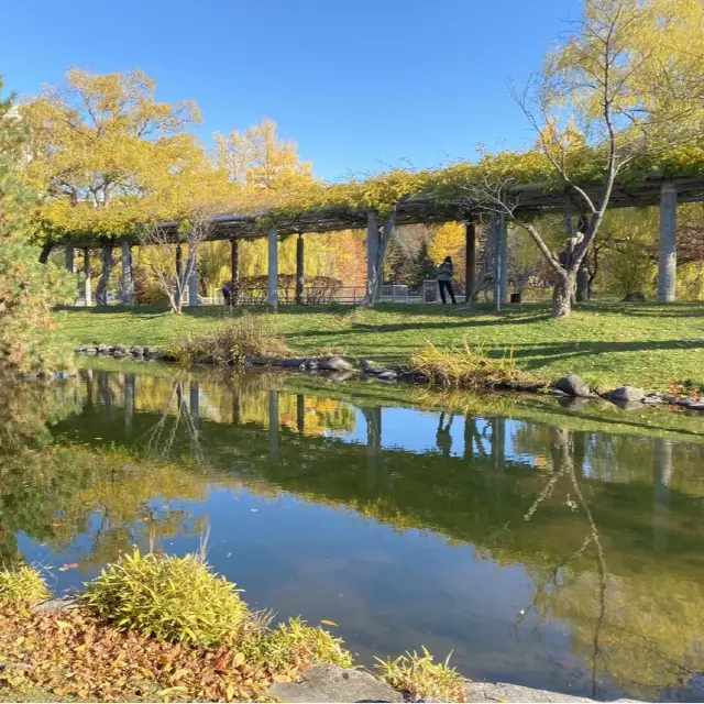 《北海道》四季を楽しめる公園🐥