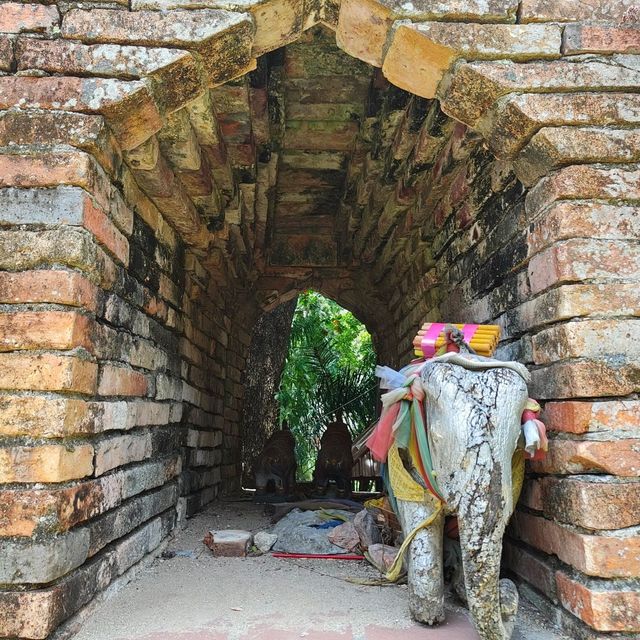 👍🏻Old City Wall and Old City Fort of Sridramasokarad