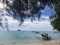 เกาะมุก