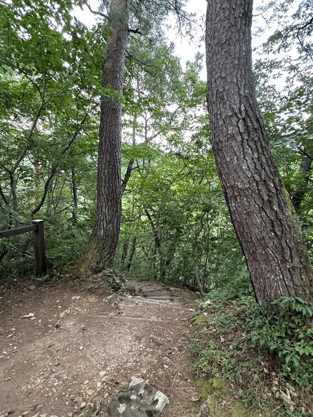 白川鄉 ｜荻町城跡展望台眺望合掌村📸