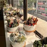 ☘️ Therapeutic Time with Terrarium in SG 🌿