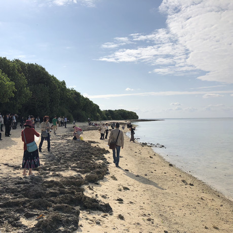 沖縄】離島で見つけた星砂の浜 | Trip.com 竹富町