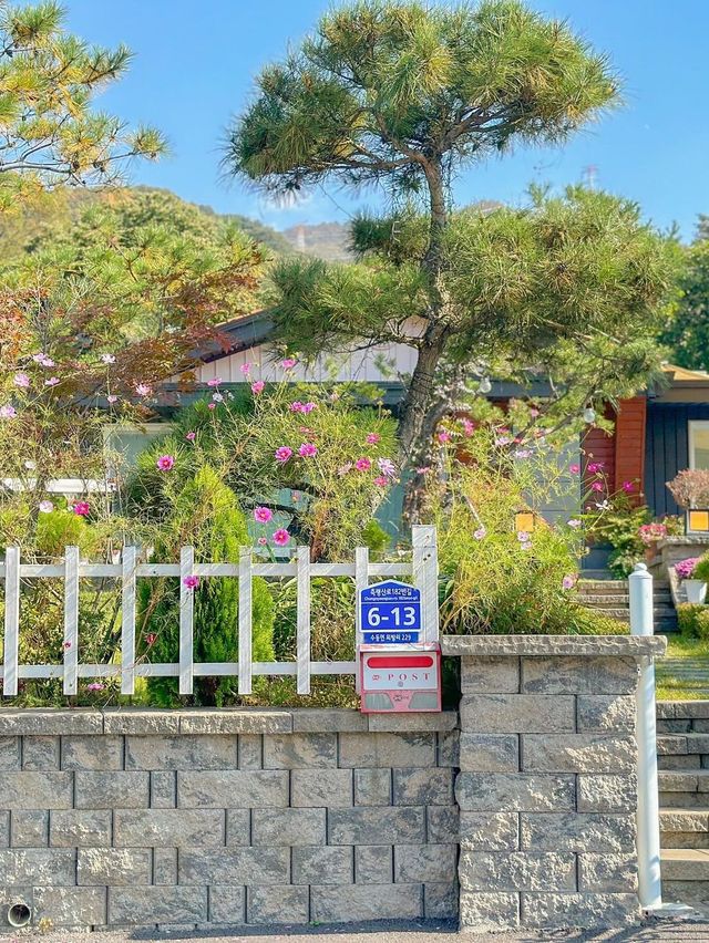 올 가을 채이네로 놀러오세요🤎, 오늘의 우리 집🏠