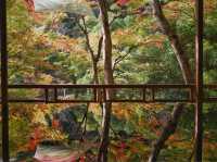 嵐山 祐齋亭 賞楓名所 打卡熱點